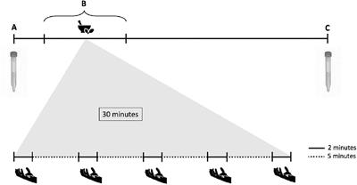 Supplementation With Phytogenic Compounds Modulates Salivation and Salivary Physico-Chemical Composition in Cattle Fed a High-Concentrate Diet